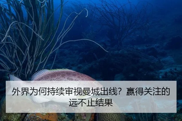 外界为何持续审视曼城出线？赢得关注的远不止结果